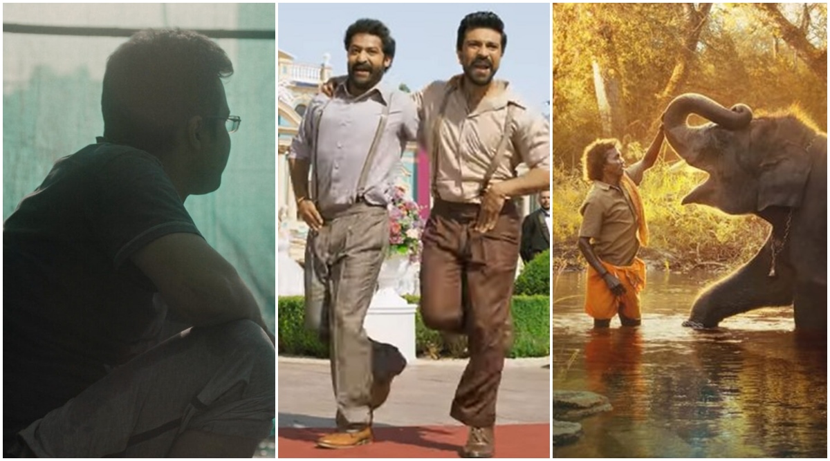 Oscars 2023 Full list of nominees, India scores 3 nominations