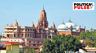 Mathura disputes, mosque