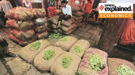 economic survey 2023, Economic Survey 2023 takeaways, indian express, express explained