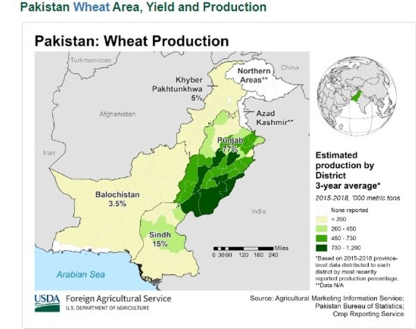 Pakistan wheat production, pakistan wheat prices, Pakistan economy, Pakistan agriculture, indian express 