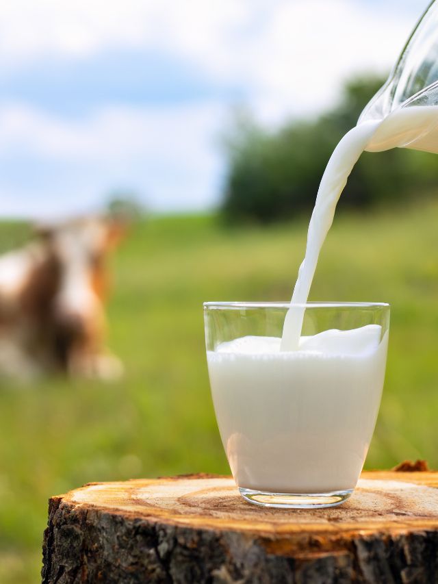 can-milk-lead-to-cold-fatigue-inflammation-and-type-2-diabetes