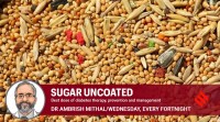 millets_sugar uncoated_1 millets