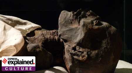 A photograph of Ramses I's mummy at the Luxor Museum in Egypt. It is believed the earliest mummification was an accidental process, since Egypt had little rainfall and dry sand and air.(Source: Wikimedia Commons/File)