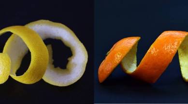 orange peel and lemon peel