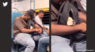 dog resting inside a backpack in a train, dog in a bag, viral dog videos, cute wholesome dog videos, are pets allowed in trains, indian express