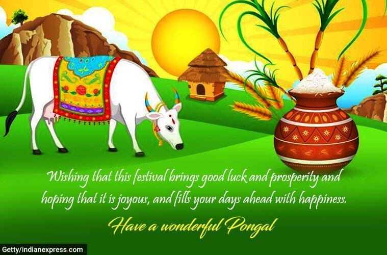 Happy Pongal 2023: Wishes Images, Status, Quotes, Messages, Photos, and Greetings Happy Pongal 2023: Wishes Images, Status, Quotes, Messages, Photos, and Greetings