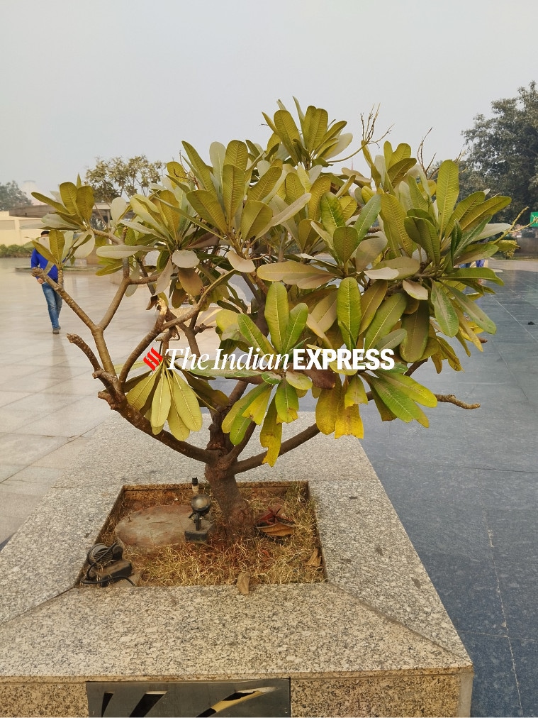 redmi note 12 camera sample indoor daylight object(1)