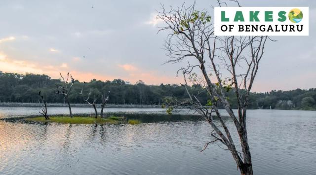 Lakes of Bengaluru: Sankey Tank, the scenic beauty in eye of storm over ...