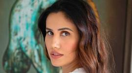 sonnalli seygall