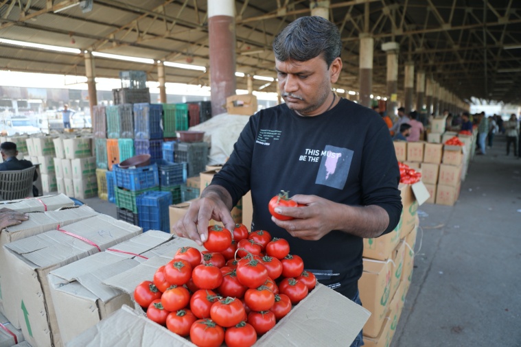 Bumper harvest, cold wave Prices of vegetables plunge in Gujarat