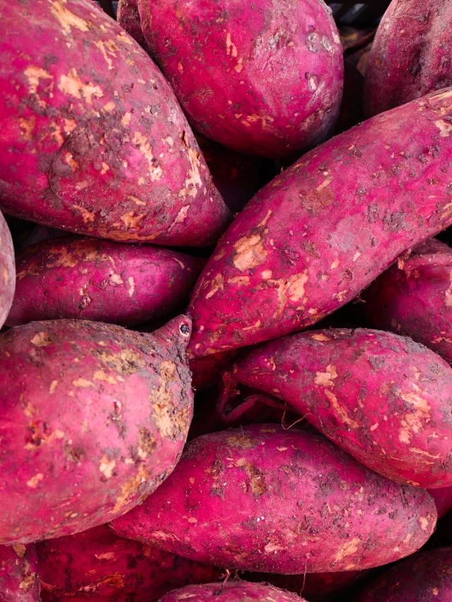Benefits of sweet potato The Indian Express