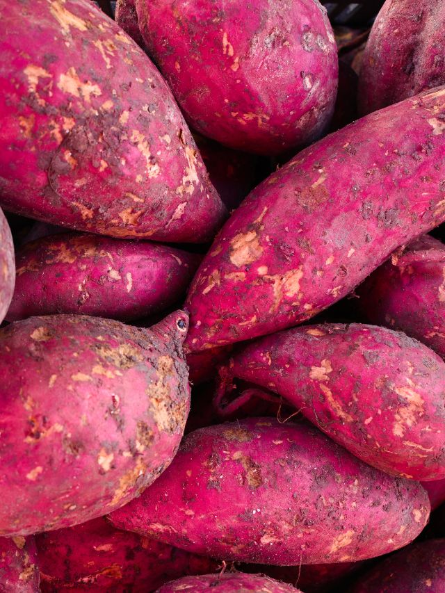 how-to-prepare-sweet-potato-to-gain-proper-nutrition-the-indian-express