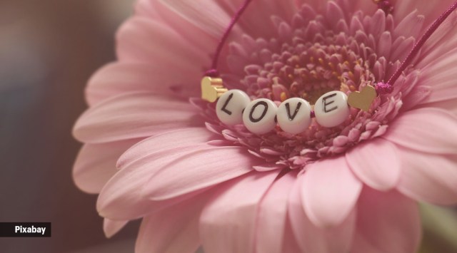 Valentine's Day is celebrated every year on February 14 (Source: Pixabay)