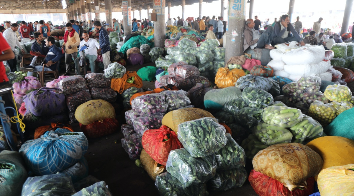 Bumper harvest, cold wave: Prices of vegetables plunge in Gujarat