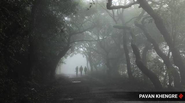 Also, last year, India's annual rainfall was 108 per cent of the Long Period Average and all the seasons recorded normal to above normal rainfall.