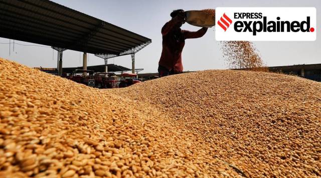 The Economic Cost has four main components — Pooled Cost of Grain, Procurement Incidentals, Acquisition Cost, and Distribution Cost — which have increased over the years.