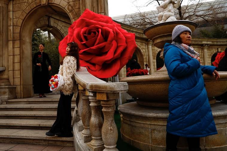 Women pose for pictures in front of giant rose installations on Valentine's Day in Beijing
