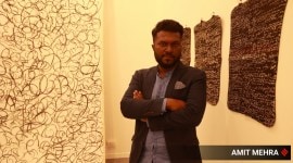 artist sajan, india art fest, delhi, indian express