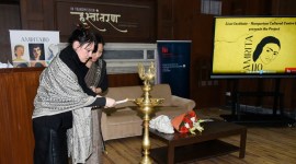 Amrita Sher-Gil at 110