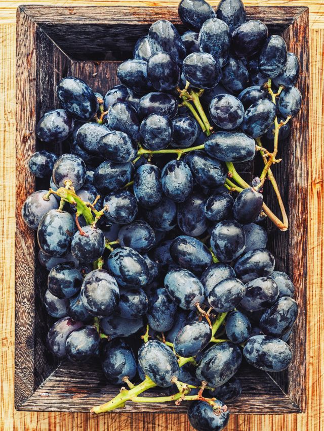 How to incorporate black grapes in skincare routine | The Indian Express