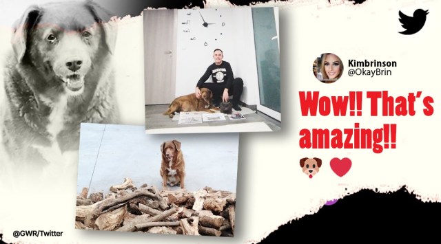 Bobi declared as world’s oldest living dog by Guinness World Records