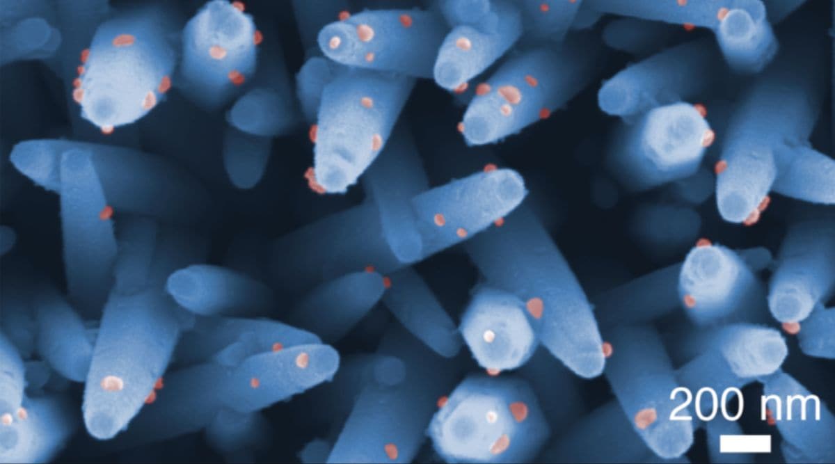 Scientists develop urine test to detect brain cancer early