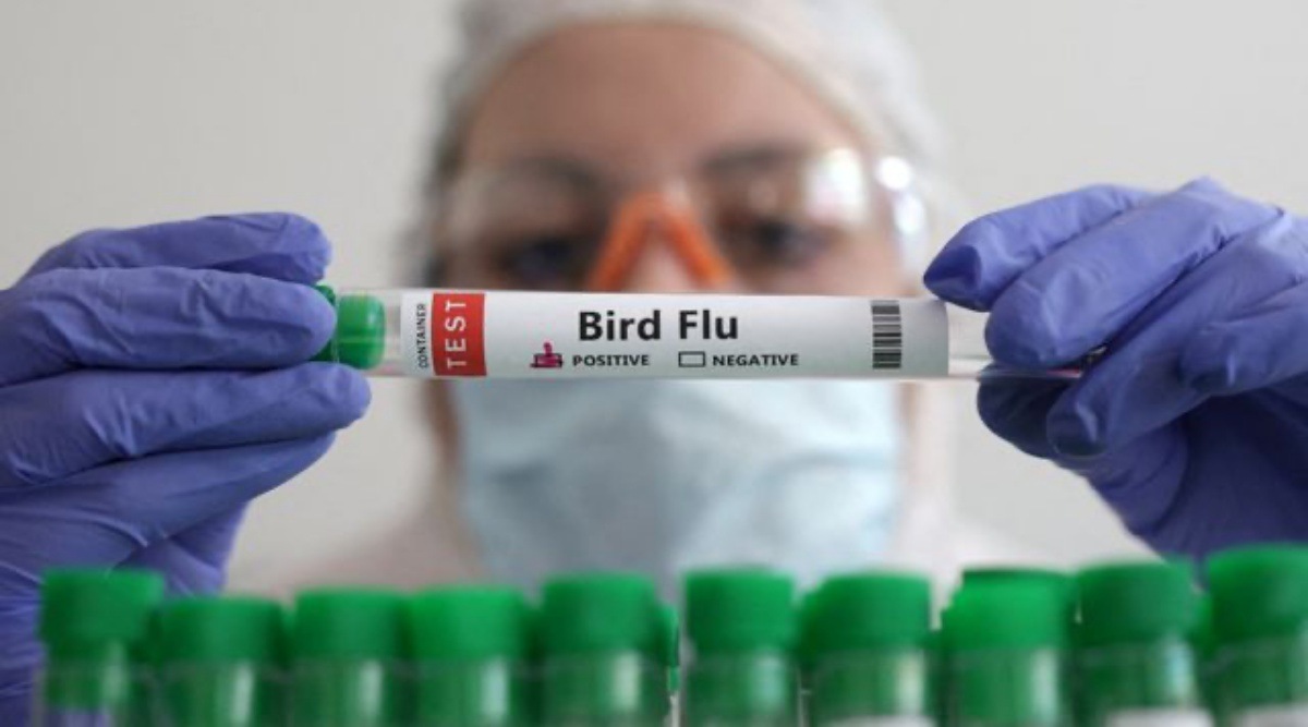 china woman death bird flu