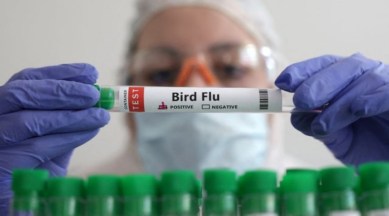 china woman death bird flu