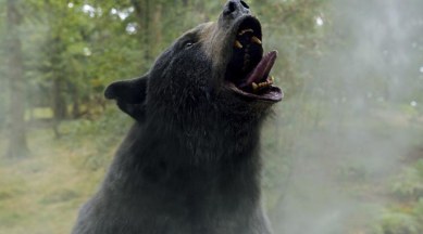 Cocaine Bear