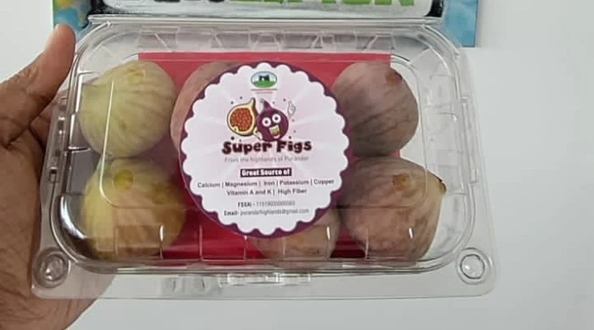 Pune company exports India’s first commercial consignment of Purandar figs to Hong Kong Pune
