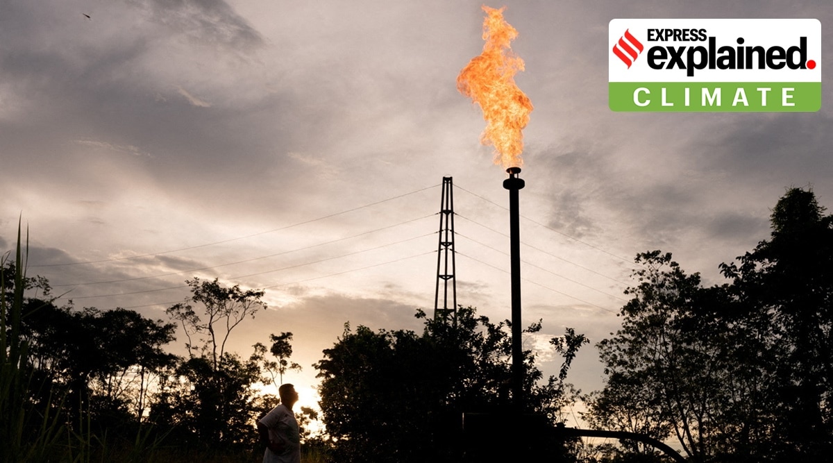 IEA's report has come just weeks after energy giants such as Shell, BP, ExxonMobil and others reported record profits made last year as the Russia-Ukraine war drove up oil and natural gas prices (Reuters/Santiago Arcos)