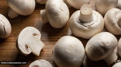 mushrooms, health benefits of benefits