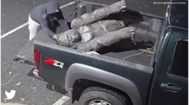 Video shows man stealing gorilla statue, US police offers $10,000 for ...