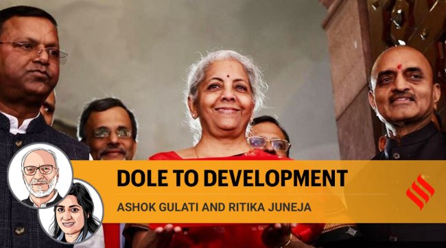 To promote innovations and technologies in the agriculture sector, the FM has announced an Agri-Focused Accelerator Fund. (Express Photo by Renuka Puri)