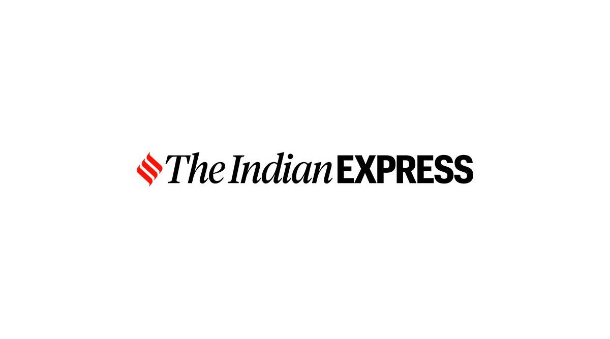 Indian Express logo 12