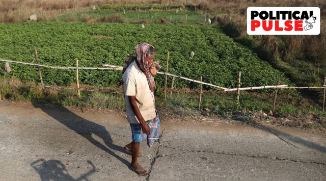 The Tata Nano project site, where farming has resumed on around 200 acres while a large portion of land remains unused. (Express Photo by Partha Paul)