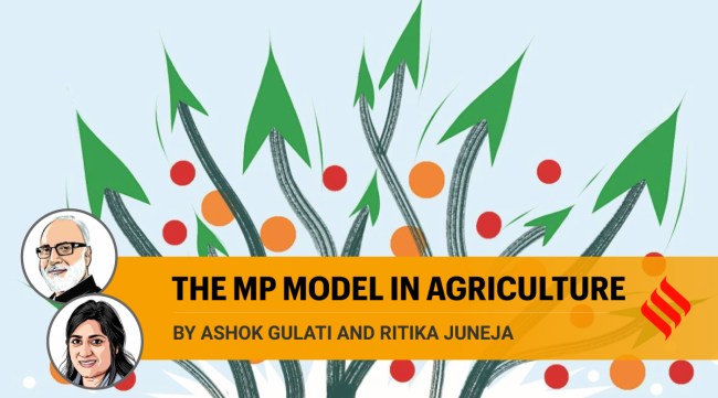 To analyse how inclusive this growth has been, we look at the agri-GDP growth in BIMARU states. Madhya Pradesh has performed very well — it has clocked the highest growth rate in agriculture at 7.3 per cent. (Illustration: C R Sasikumar)