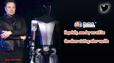 Elon Musk conspiracy theory