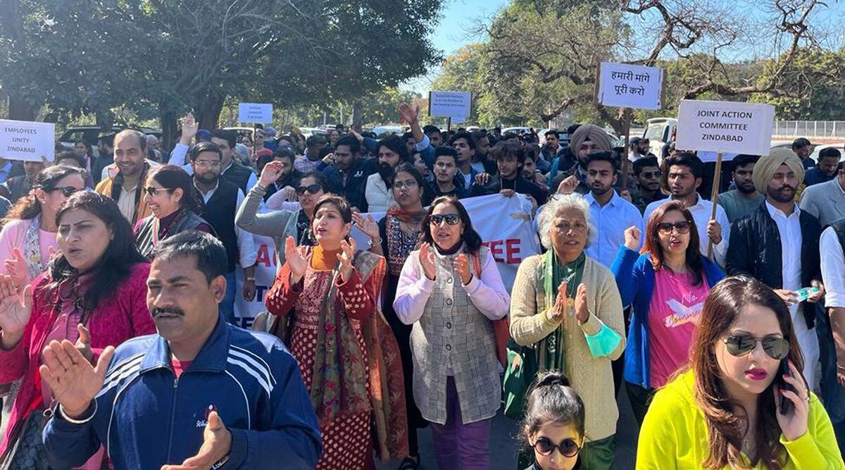 Dr Surinder Kaur, the president of the Chandigarh unit of JAC, said, "Our demands are genuine. We will continue our protests till our demands are met." (Express file photo)