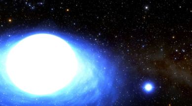 binary star system CPD-29 2176