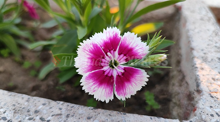 Poco X5 Pro 5G | Poco X5 review