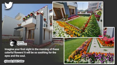 Railways officer tweets photos of colleague’s garden full of flowers