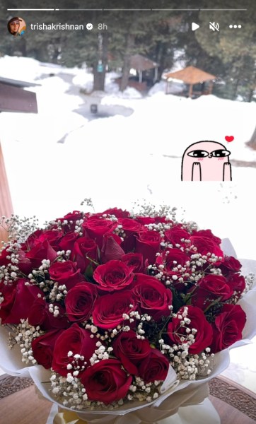 Trisha's Insta story