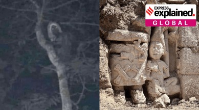 Photo tweeted by Mexican President shows a tree at nighttime and the ancient figures.