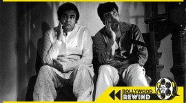 angoor, gulzar