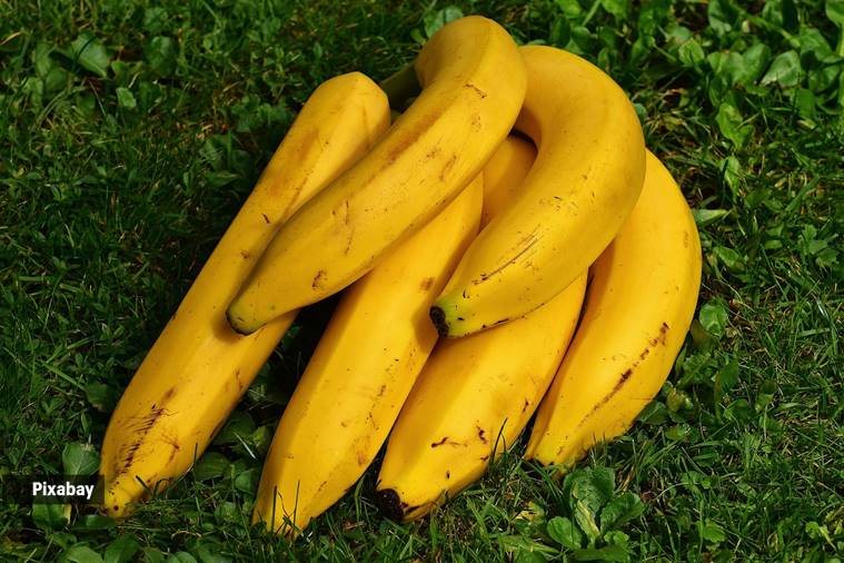 Bananas contain an amino acid called tryptophan. Our body uses tryptophan to produce 5-HTP, the compound that makes serotonin and melatonin, two mood and sleep-regulating neurotransmitters.