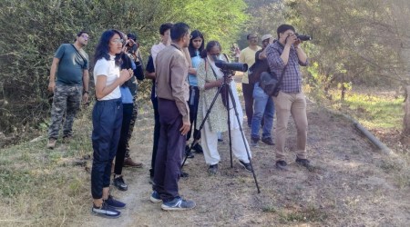 gujarat bird count, indian express
