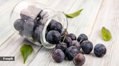 Black grape extract