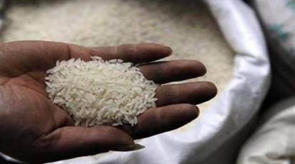 India to extend rice export curbs to ensure domestic price stability, supply: Report | Business News,The Indian Express