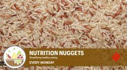 Does Switching Over To Brown Rice From White Rice Help You Lose Weight 